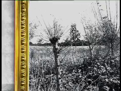 Sometree