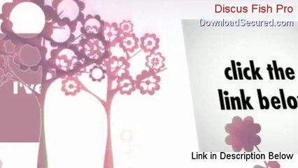 Discus Fish Pro Reviewed - Hear my Review (2014)