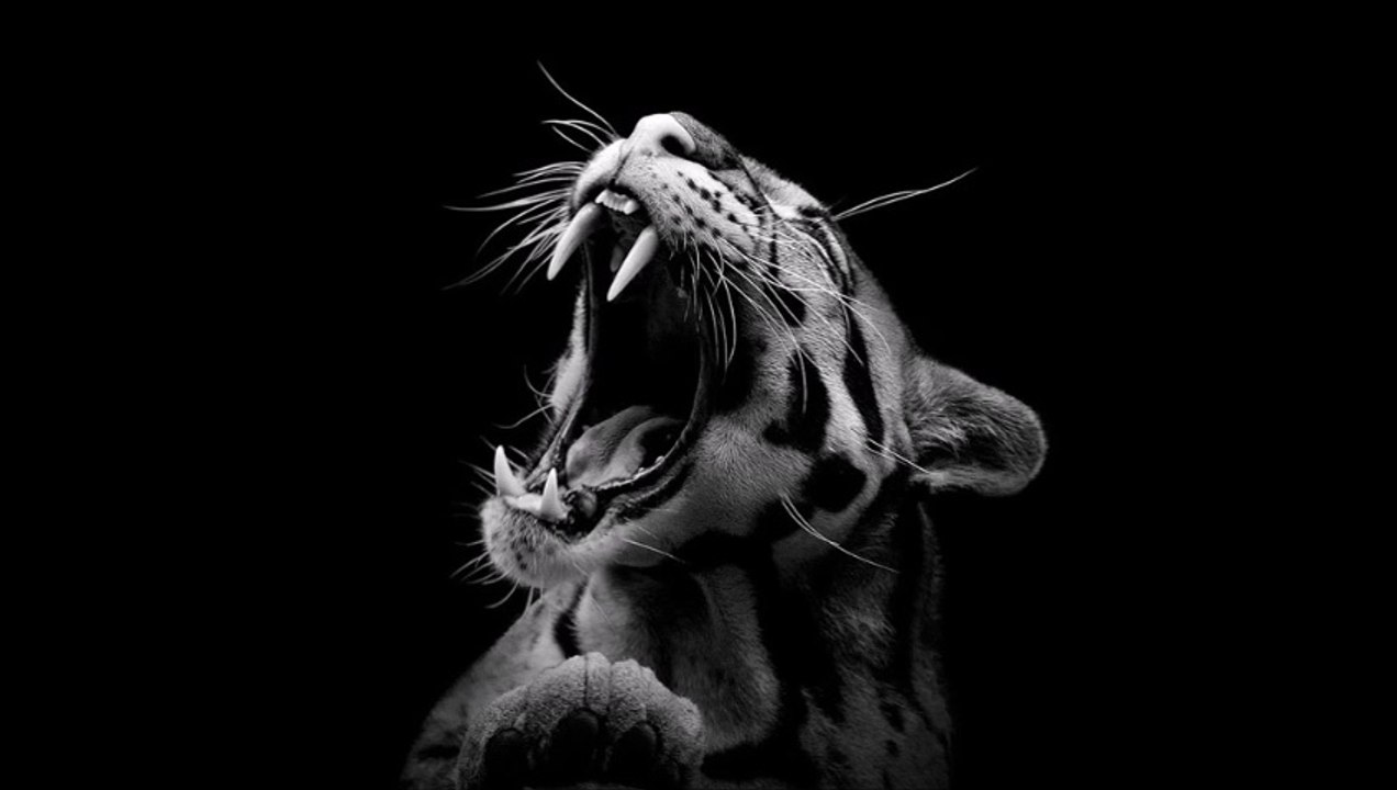 Wrecking ball cover - Miley Cyrus - Justine M.