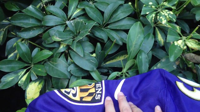 Baltimore Ravens Team #55 Terrell Suggs Customized NFL jerseys