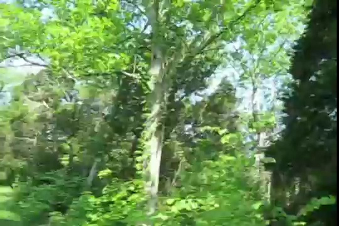 Ohio serpentmound pt2.divx