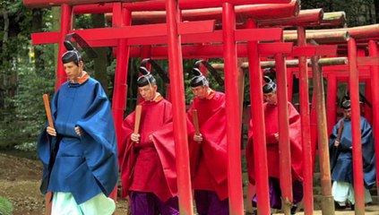 Comparing Black and Asian Hebrews in Apparel: Key Differences & Insights