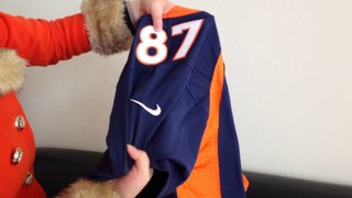 Cheap Jerseys Free Shipping,Cheap Jerseys-Nike Denver Broncos #87 Eric Decker blue elite Jersey