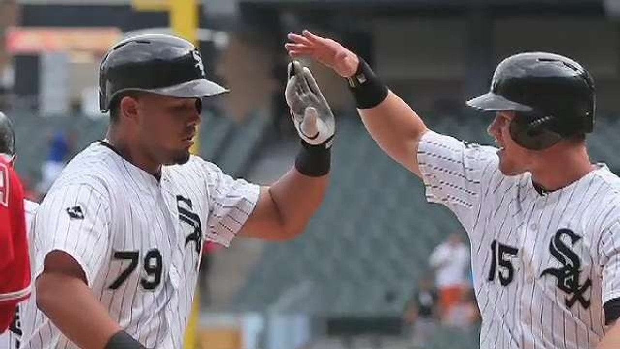 MLB Home Run Leaders Go Yard