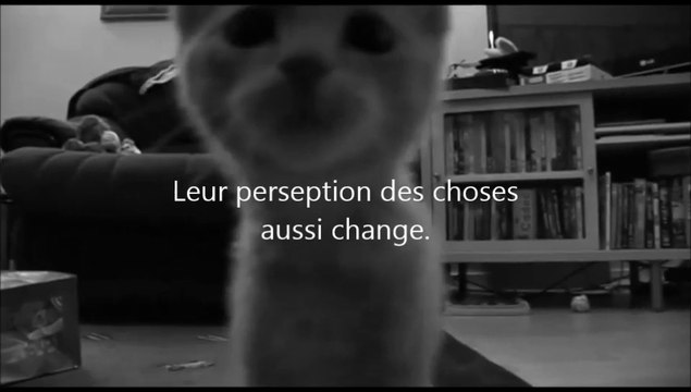 Papiers Froissés Trailer