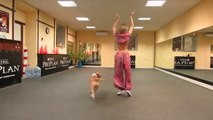 So cute dog dancing - Crazy animal choregraphy!