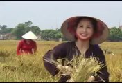 Chèo - chant traditionnel du Vietnam