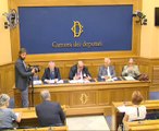 Roma - Conferenza stampa di Gian Luigi Gigli (30.06.14)