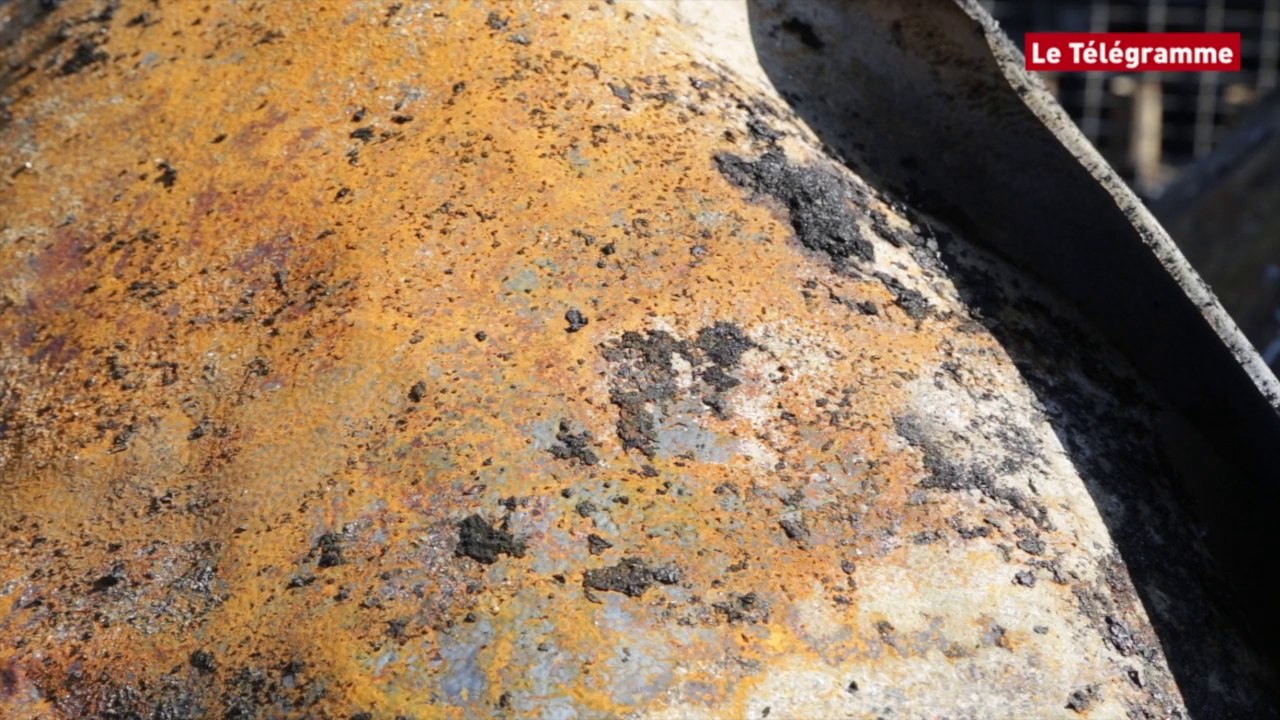 Brest. Incendie : gros dégâts au centre nautique du Moulin Blanc