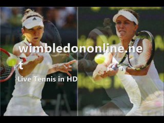Live P. Kvitova vs L. Safarova Wimbledon 2014 Semifinal Online