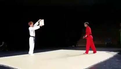 beautiful marshal art kick.
