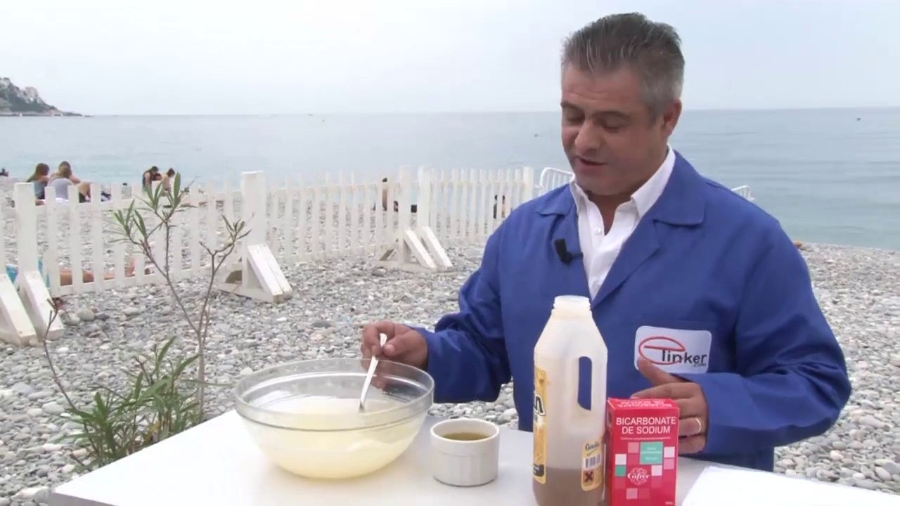 COMMENT SE DEBARRASSER DES PUCERONS ET DES FOURMIS.