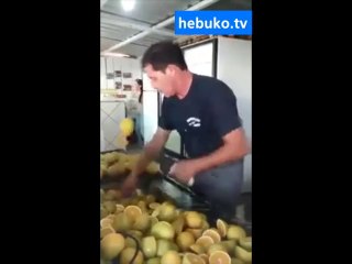 gerçek hayattaki fruit ninja - adam bu işin en iyisi!