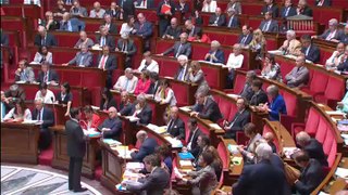 Question d'Elisabeth Guigou à Manuel Valls sur le Conseil européen juin 2014