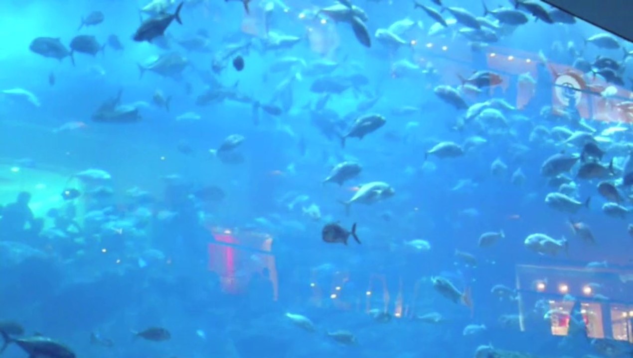 Aquarium de Dubaï