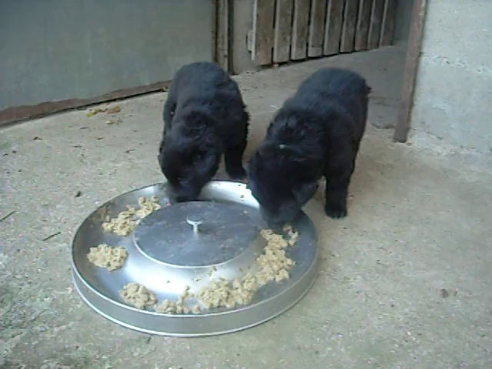 2 juillet 2014 (1) : tous premiers pas dehors