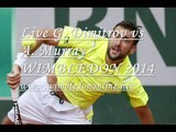 Watch A. Murray vs G. Dimitrov Quarterfinal Jul 2, 9:00 AM Video Stream