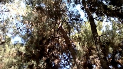 Ameer Ul Azeem - Releasing exam pressure_2