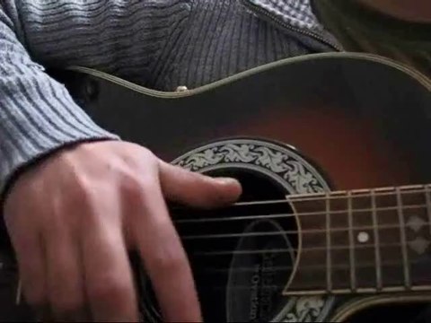 Animal instinct - The Cranberries - Tutoria chitarra accordi