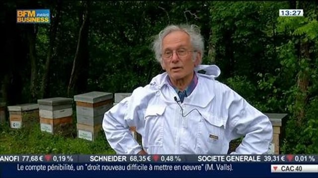 L'insolite du jour: Donner un toit aux abeilles en parrainnant une ruche, dans Paris est à vous – 02/07