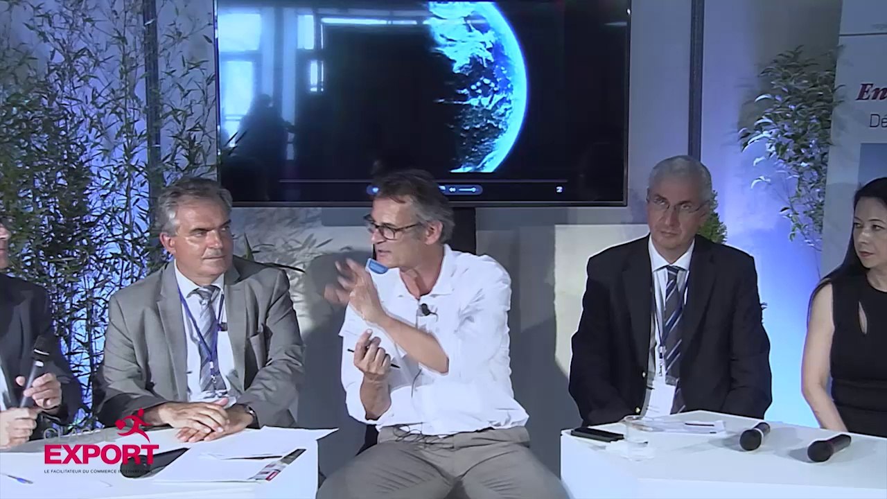 Aides Financières à l'export : comment les entreprises tirent-elles leur épingle du jeu ?