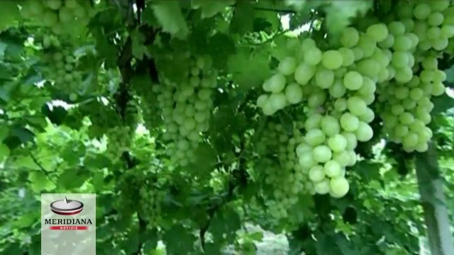 Incentivare esportazioni verso la Cina, Al via partnership tra Fiera di Roma e Regione Lazio