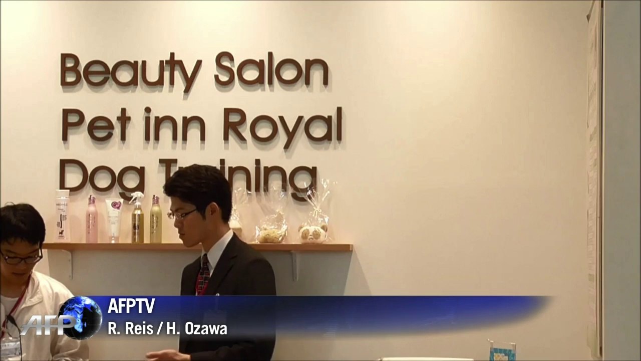 Erstes Hunde-Seniorenheim eröffnet in Tokio