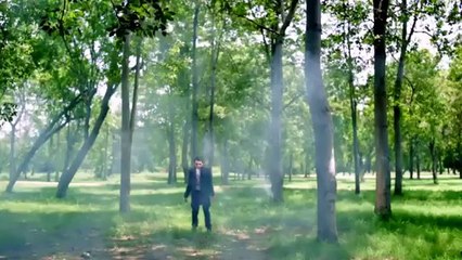 Dildara dildara dildara nai lagda taray bin dil yara