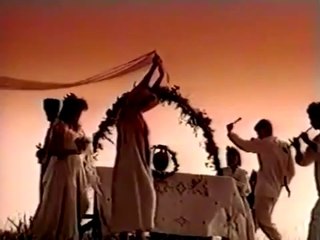 Viki 1995 - Svadbe nece biti