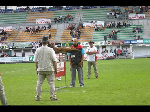 Championnat de France ring 2014 à Brive