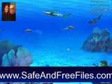 Download 3D Underwater Screensaver 2 Serial Number Generator Free