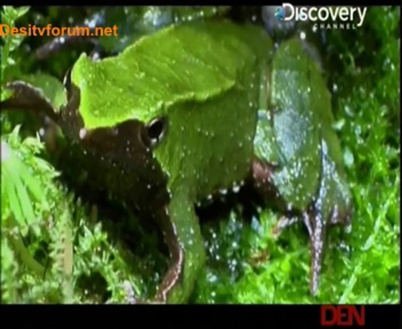 Natures Weirdest Events 2nd July 2014 Video Watch Online pt2