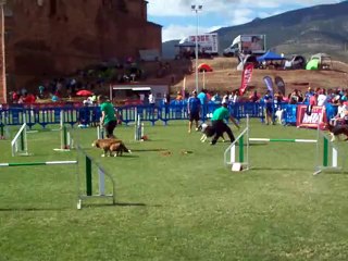 Team Of Maranns Home Gotor Cup 2014