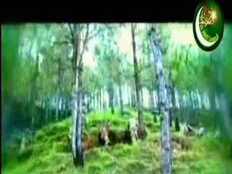 Watan ki Mitti Gawah Rehna Solidarity with Pak Army :Operation Zarb-e-Azb