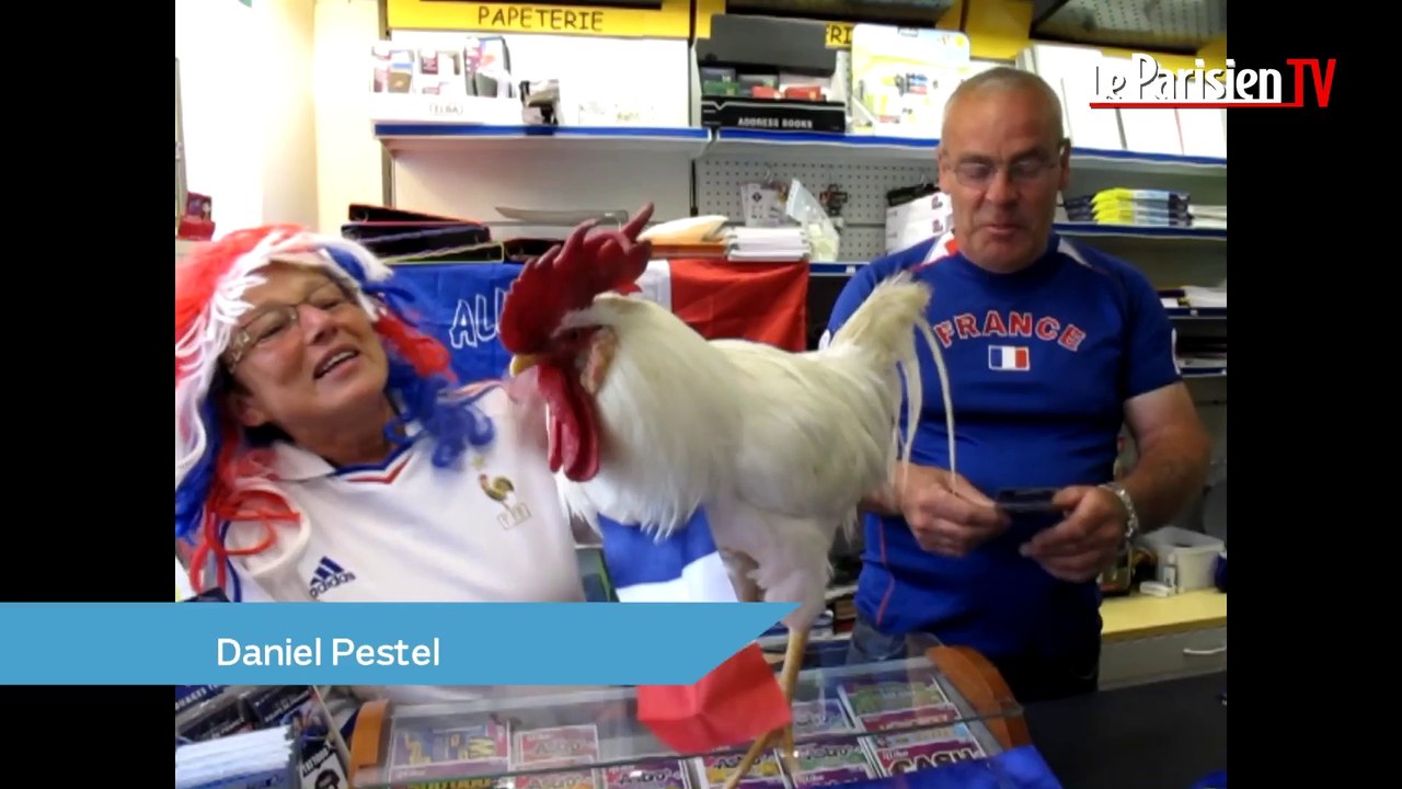 Mondial 2014 : quand Loulou le coq chante, les Bleus gagnent