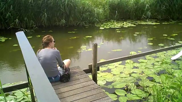 Afro Celt Sound System - Medieval Dream