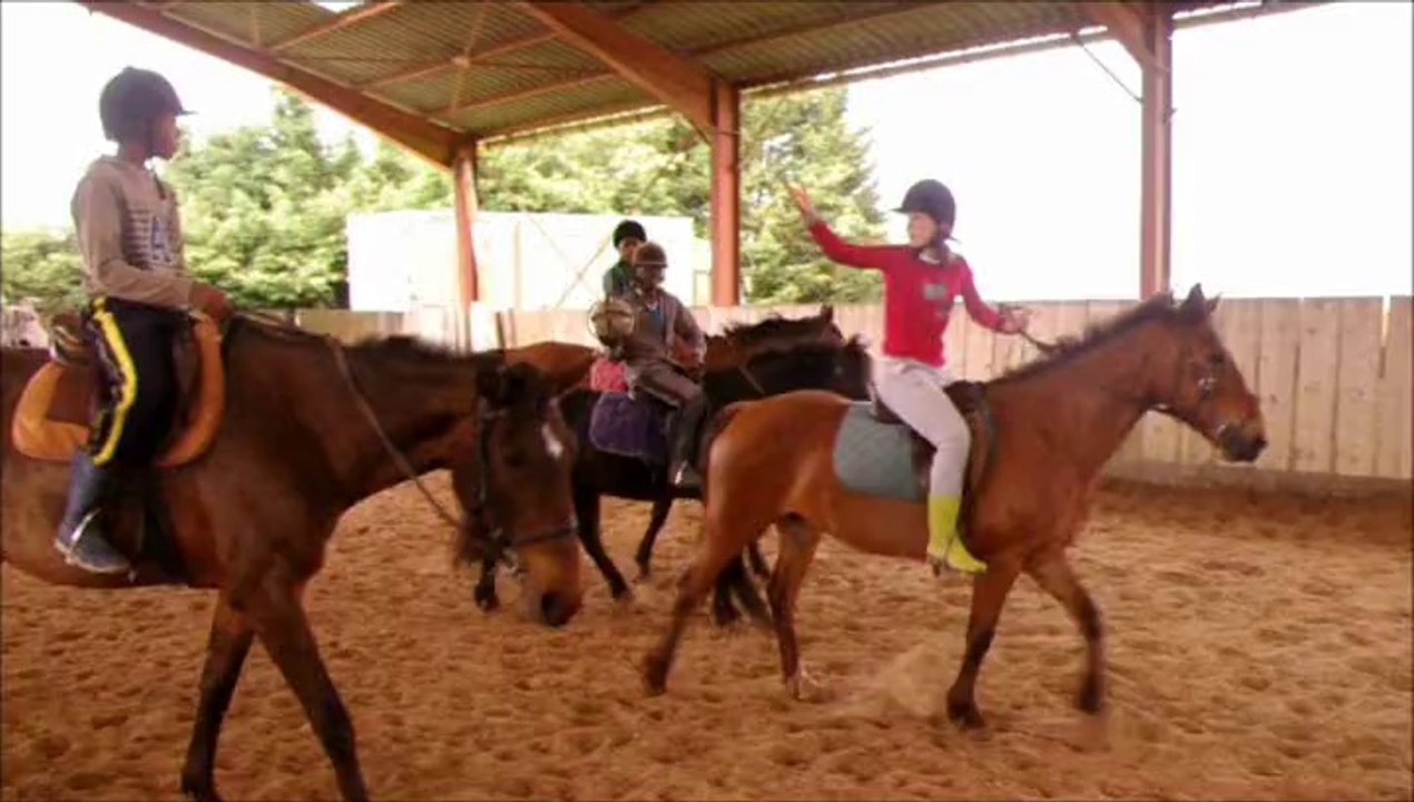 Horse_Ball_C