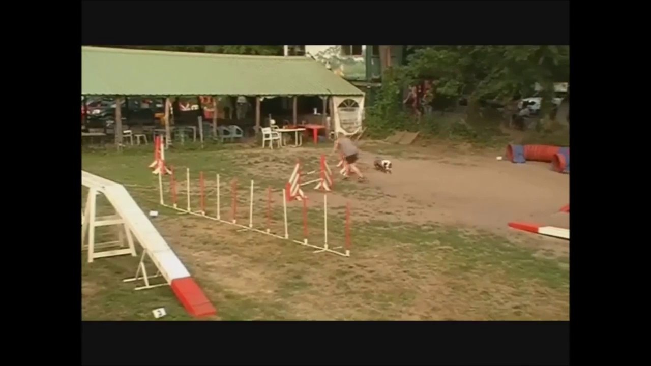Baxter 21/06/2014