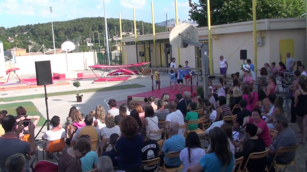 Gala 2014 : Démonstration poussins GAM