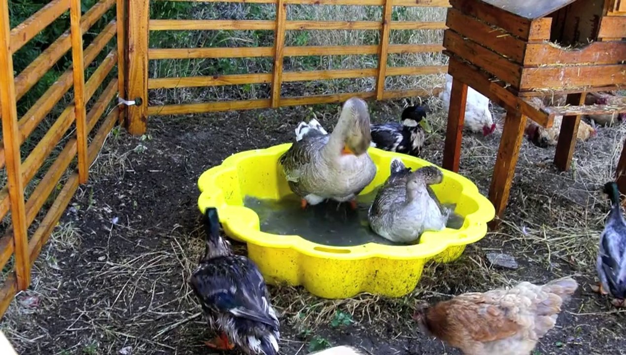 Un bon bain