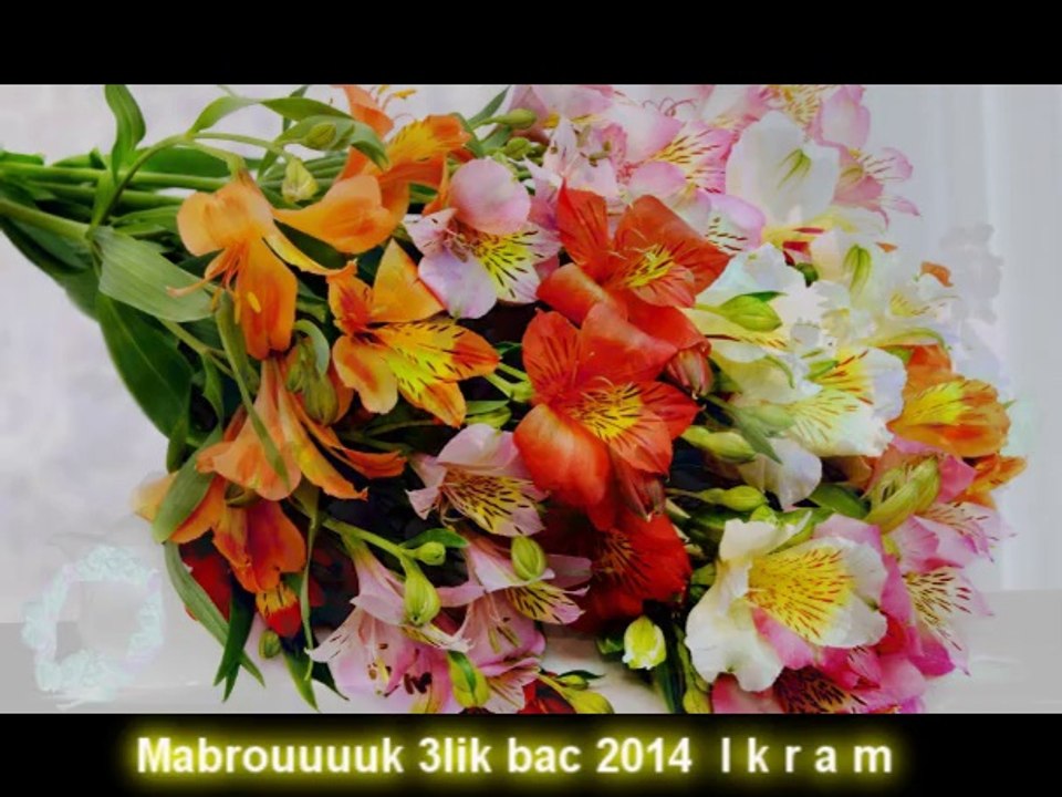 mabrouk 3lik bac Ikram