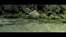Bande-annonce : Minuscule - La Vallée des Fourmis Perdues - Teaser VF