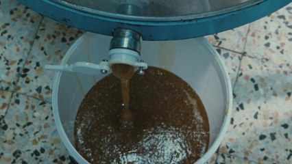 Bande-annonce : Les Merveilles - VO