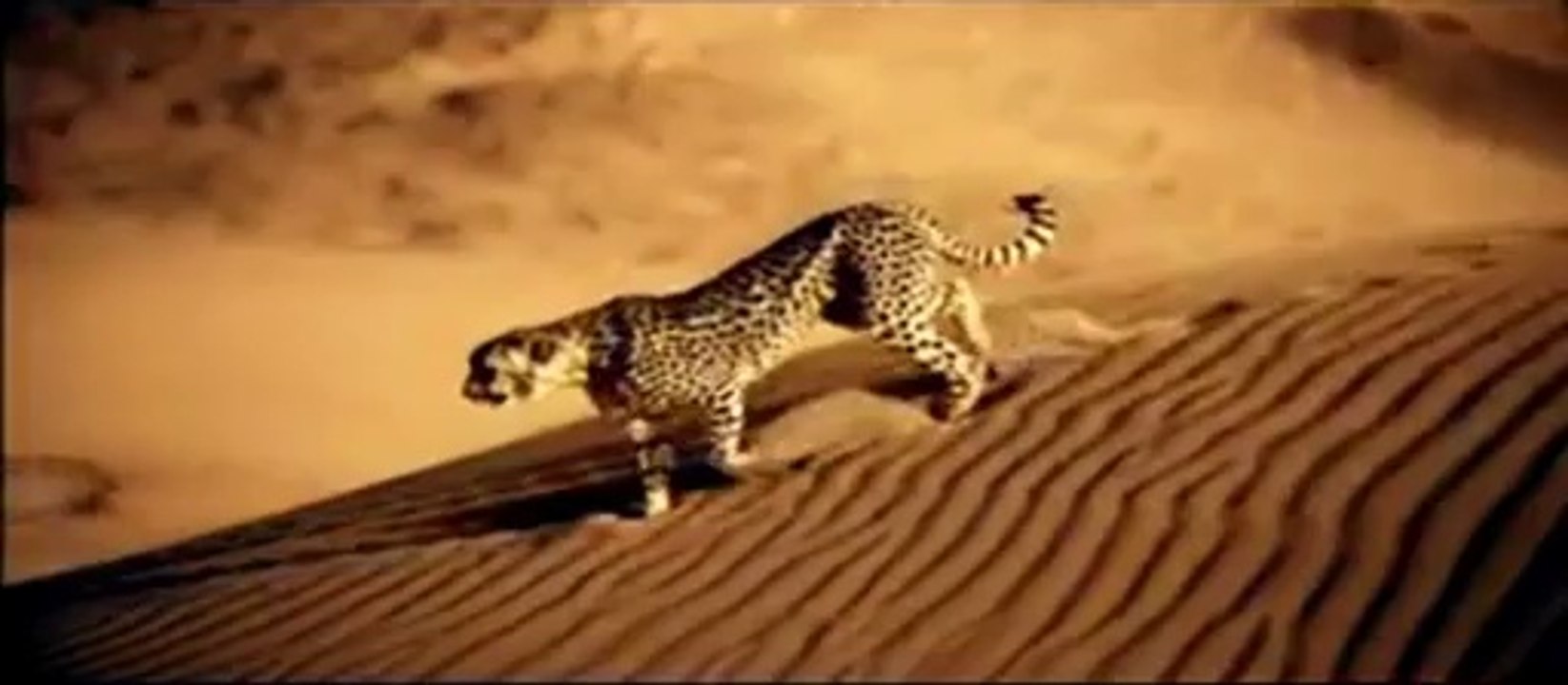 Masar - Le Trio Joubran