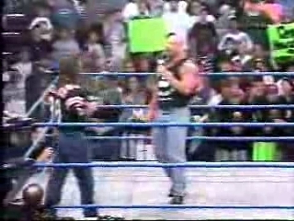 Bret Hart Last Appearence in WCW