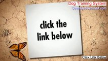 Dog Training System Download - Legit Download [2014]