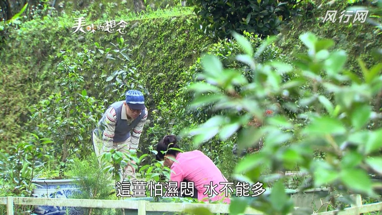 唐禹哲(DT) 美味的想念32