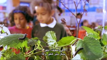 جسم الإنسان الحلقه الاولى قصة الحياة BBC