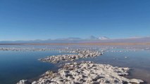 Paysage 13 - San Pedro de Atacama Laguna Tebinquiche 2