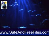 Download Daniel's Aquarium Screensaver 1 Serial Key Generator Free